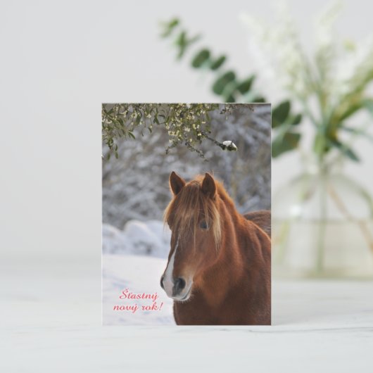 Postkarte für Pferde Tschechisches Neujahr (Stehend Vorderseite)