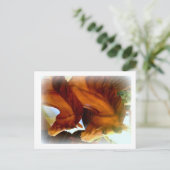 Postkarte für Pferde und Pony (Stehend Vorderseite)