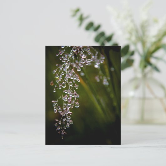 Postkarte für Regenfallen (Stehend Vorderseite)