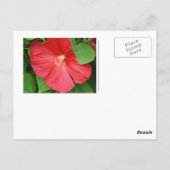 Postkarte für Reisen (Rückseite)