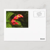 Postkarte für Reisen 2 (Rückseite)