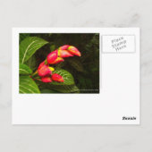 Postkarte für Reisen 5 (Rückseite)