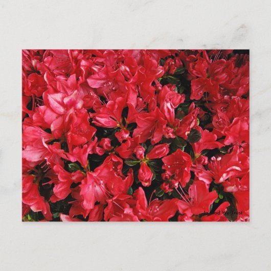 Postkarte für Reisen 5 (Vorderseite)