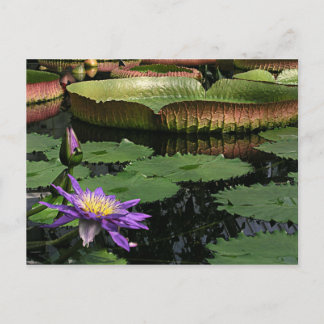 Postkarte für Reisen einsammeln 1