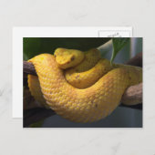 Postkarte für Reisen sammeln 2 (Vorne/Hinten)