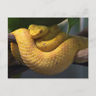 Postkarte für Reisen sammeln 2