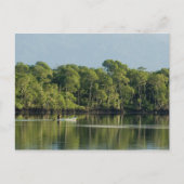 Postkarte für Reisen sammeln 6 (Vorderseite)