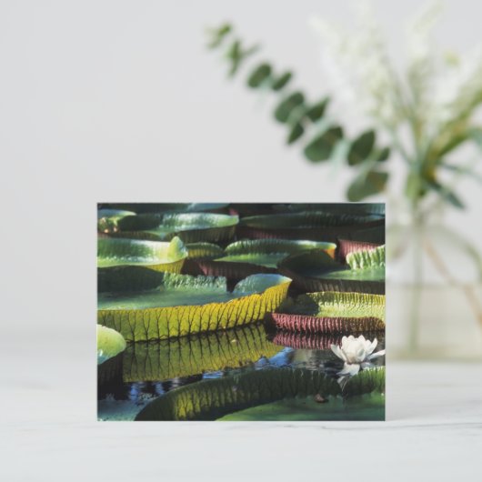 Postkarte für Reisen sammeln 7 (Stehend Vorderseite)