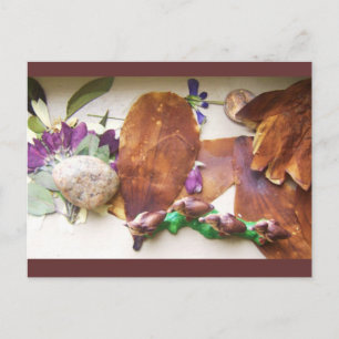 Postkarte für reisende Enten