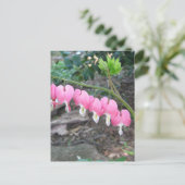 Postkarte für rosa Blutungen (Stehend Vorderseite)