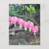 Postkarte für rosa Blutungen (Vorderseite)