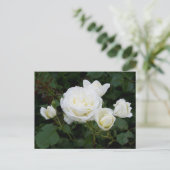 Postkarte für Rosen (Stehend Vorderseite)