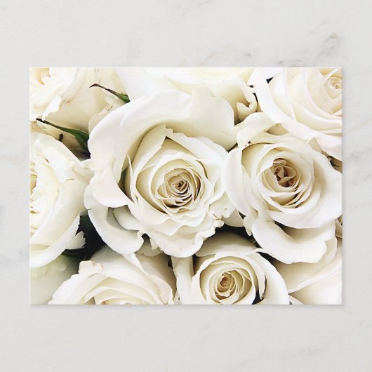 Postkarte für Rosen (Vorderseite)