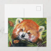 Postkarte für Rote Panda (Vorne/Hinten)