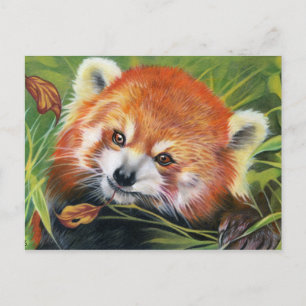 Postkarte für Rote Panda