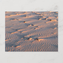 Postkarte für Sandrippen