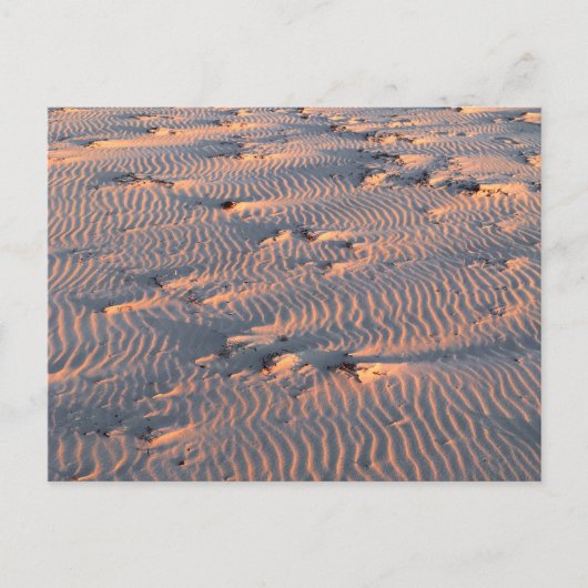 Postkarte für Sandrippen (Vorderseite)