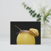 Postkarte für Schnecken (Stehend Vorderseite)