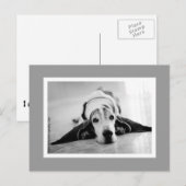Postkarte für Schwarz und Weiß (Vorne/Hinten)
