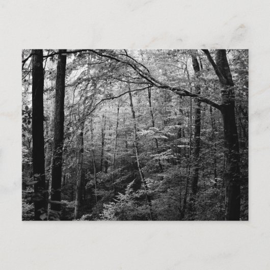 Postkarte für Schwarz und Weiß (Vorderseite)