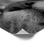 Postkarte für Schwarz und Weiß Poster (Ecke)