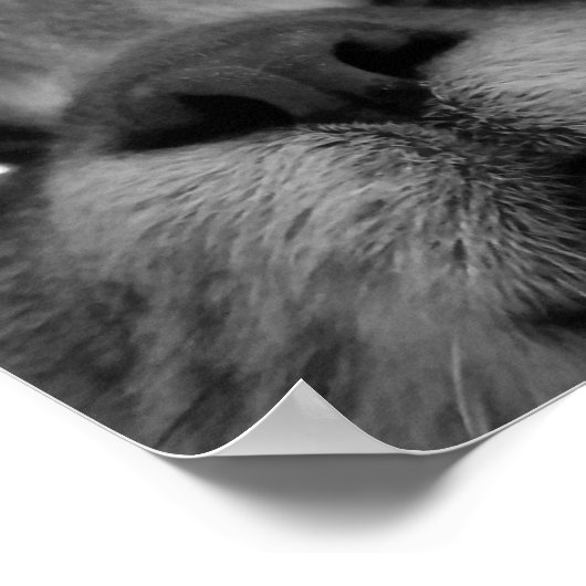 Postkarte für Schwarz und Weiß Poster (Ecke)