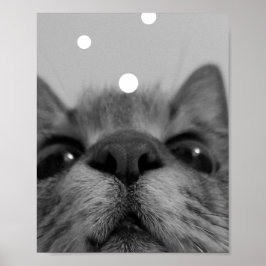 Postkarte für Schwarz und Weiß Poster