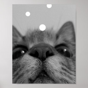 Postkarte für Schwarz und Weiß Poster