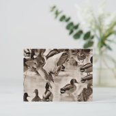 Postkarte für Schwarz-Weiß-Mallard (Stehend Vorderseite)