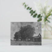 Postkarte für schwarz-weiße Baumwolle (Stehend Vorderseite)
