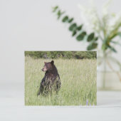 Postkarte für schwarzen Bär (Stehend Vorderseite)
