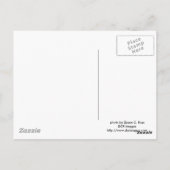 Postkarte für schwarzen Bär (Rückseite)