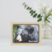 Postkarte für Schwarzer Bär (Stehend Vorderseite)