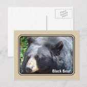 Postkarte für Schwarzer Bär (Vorne/Hinten)
