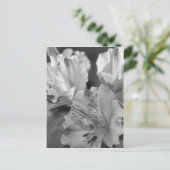 Postkarte für Schwarzweiß-Blume (Stehend Vorderseite)