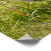 Postkarte für Schwarzweiß Poster (Ecke)