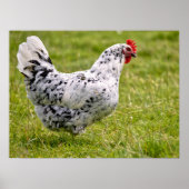 Postkarte für Schwarzweiß Poster (Vorne)