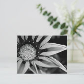 Postkarte für Schwarzweiß-Wildblume (Stehend Vorderseite)