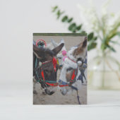 Postkarte für Seeadler (Stehend Vorderseite)