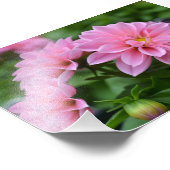 Postkarte für sie fotodruck (Ecke)