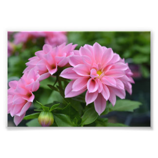 Postkarte für sie fotodruck