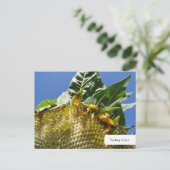 Postkarte für Sonnenblumen (Stehend Vorderseite)