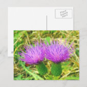 Postkarte für Spalten- oder Felddicken (Vorne/Hinten)