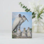 Postkarte für Storchenfamilie (Stehend Vorderseite)