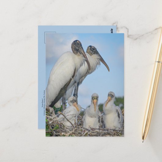 Postkarte für Storchenfamilie (Vorderseite/Rückseite Beispiel)