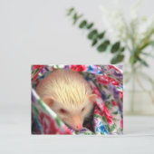 Postkarte für süßen Igel (Stehend Vorderseite)