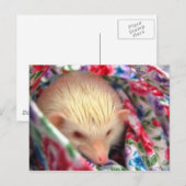 Postkarte für süßen Igel (Vorne/Hinten)