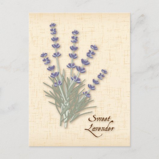 Postkarte für Sweet Lavendel anpassen (Vorderseite)