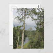 Postkarte für Tarn Hows Trees (Vorne/Hinten)