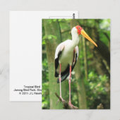 Postkarte für tropische Vögel (Vorne/Hinten)